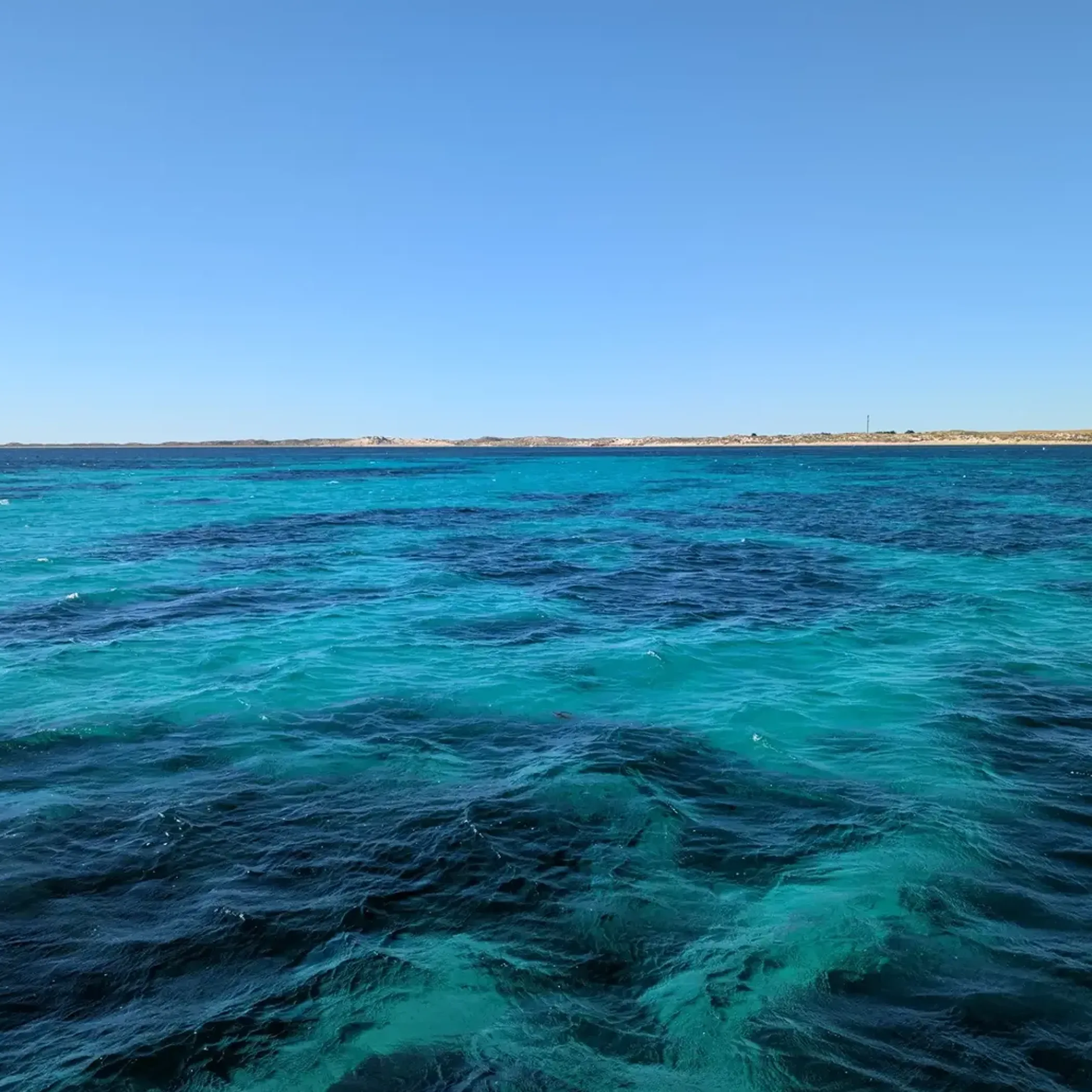 clear underwater reef scene in wa
