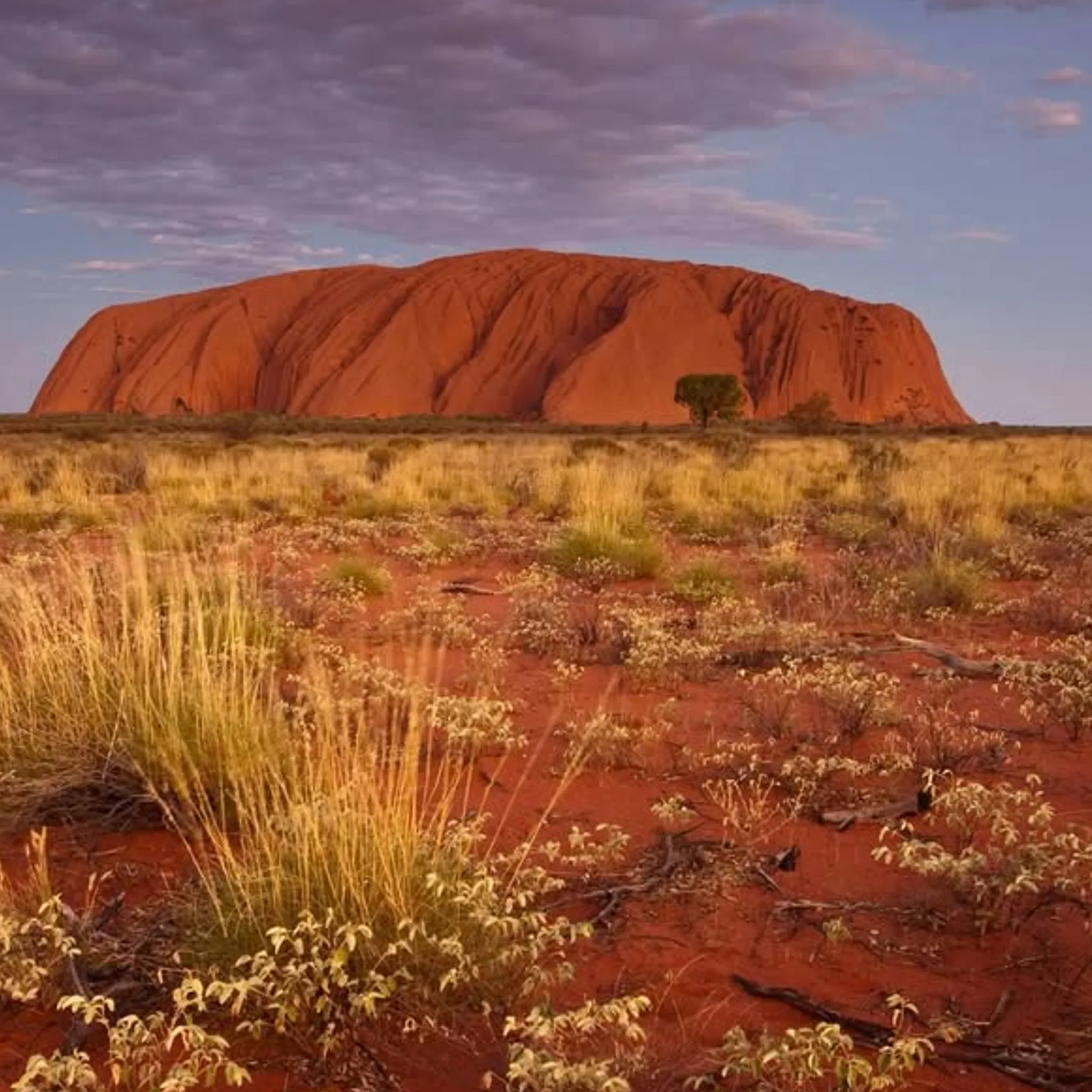 uluru in the central australian desert