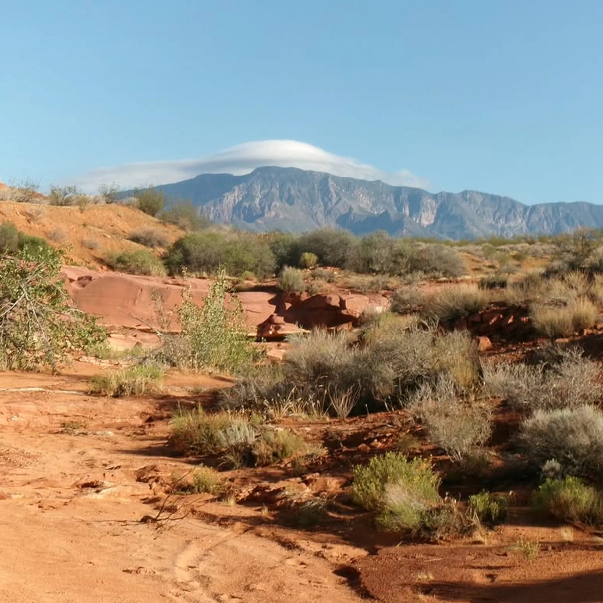 desert hiking landscape